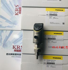 FS100-300L-30-2UPN8-H1141流量开关