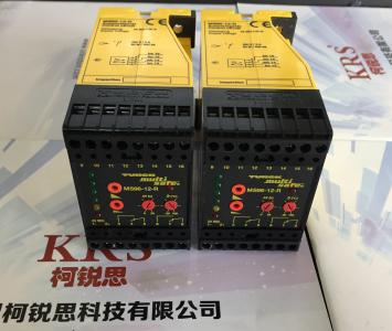MS96-12R/24VDC信号处理器